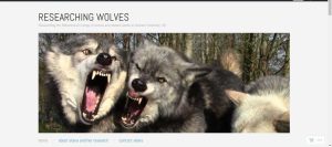 researching_wolves-screen_shot